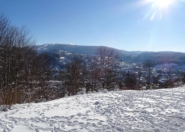 Апартаменты La Monarde *